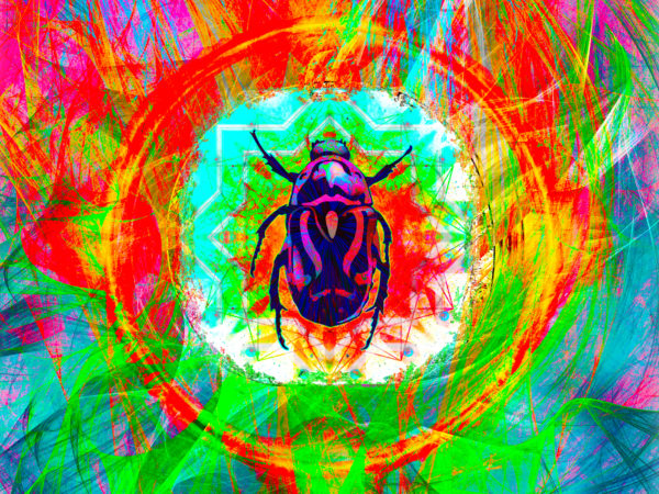 Tenture murale scarabée magique